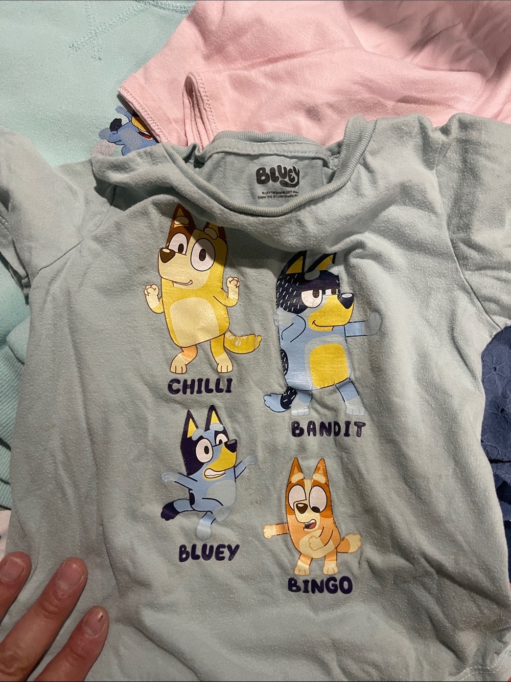 Bluey bundle - Picture 4 of 5